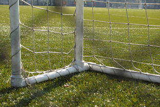 乐鱼体育-中国足球门将站位与丢球位置对应分析，中国足球队员门将